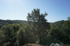 
                                                                                        Vente
                                                                                         Ancien corps de ferme du XVIIIe niché dans le calme de la nature du Périgord vert. 