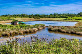 
                                                                                        Vente
                                                                                         ARCACHON RESIDENCE HOTELIERE FACE A L’OCEAN