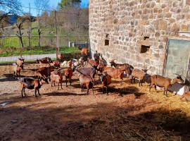 
                                                                                        Vente
                                                                                         ARDECHE FERME 48 HA RUISSEAU SOURCES