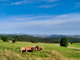 
                                                                                        Vente
                                                                                         ARDECHE PROPRIETE 460 M² VUE EXCEPTIONNELLE