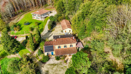 
                                                                                        Vente
                                                                                         ARIEGE PROPRIETE FORESTIERE 54 HA