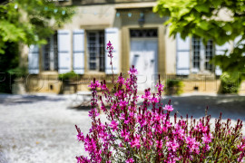 
                                                                                        Vente
                                                                                         AUDE PROPIETE 16 HA GITES PISCINE