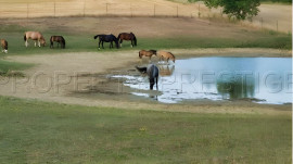 
                                                                                        Vente
                                                                                         AUDE PROPRIETE RURALE 60 HA