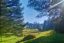 
                                                                                        Vente
                                                                                         AUVERGNE MOULIN GITES CHAMBRES D’HÔTES RIVIERE 1.5 HA