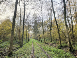 
                                                                                        Vente
                                                                                         BOIS DE 23.5 HA SUD LAON