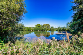 
                                                                                        Vente
                                                                                         BORDEAUX – CHATEAU VITICOLE – 22 HA – CANON FRONSAC