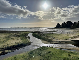 
                                                                                        Vente
                                                                                         BRETAGNE SUD MAISON OSSATURE BOIS 5 HA