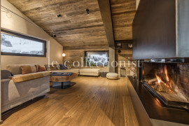 
                                                                                        Location de vacances
                                                                                         Chalet Shaman