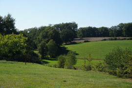 
                                                                                        Vente
                                                                                         Charmant ensemble immobilier en pierre du XVIIIe siècle niché dans le parc naturel du Périgord vert. 