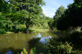 
                                                                                        Vente
                                                                                         Charmante maison en pierre agrémentée d'un étang et bordée par une rivière. 