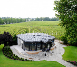 
                                                                                        Location de vacances
                                                                                         Château Pape Clément