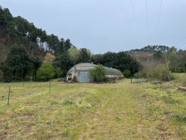 
                                                                                        Vente
                                                                                         Château XIV eme, XVIeme, et domaine arboricole