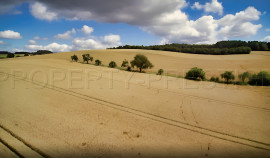 
                                                                                        Vente
                                                                                         CHER PROPRIETE AGRICOLE 250 HA