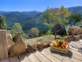 
                                                                                        Vente
                                                                                         CORSE DU SUD VILLA 320 M² VUE DOMINANTE