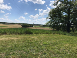 
                                                                                        Vente
                                                                                         Dans un hameau très calme du Verteillacois, très bel ensemble comprenant 2 maisons très spacieuses, 8 chambres, idéal activité de gites, grange, une piscine et un hectare, vues.