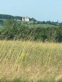 
                                                                                        Vente
                                                                                         Dans un hameau très calme du Verteillacois, très bel ensemble comprenant 2 maisons très spacieuses, 8 chambres, idéal activité de gites, grange, une piscine et un hectare, vues.