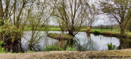 
                                                                                        Vente
                                                                                         DIJON – MAISON DE MAITRE XIXème – 90 HA – ETANGS