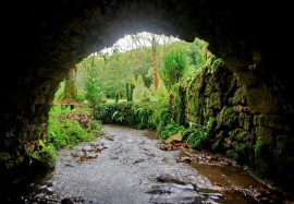 
                                                                                        Vente
                                                                                         DORDOGNE LOGIS MOULIN A EAU 8 HA