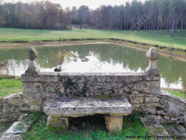 
                                                                                        Vente
                                                                                         DORDOGNE MANOIR DU XVème 24 HA ETANG PUITS