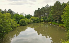 
                                                                                        Vente
                                                                                         DORDOGNE PROPRIETE PERIGOURDINE 4 HA ETANG CHALETS