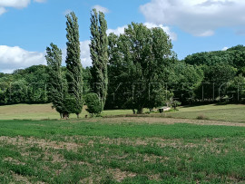 
                                                                                        Vente
                                                                                         DORDOGNE PROPRIETE XIIème 32 HA RIVIERE