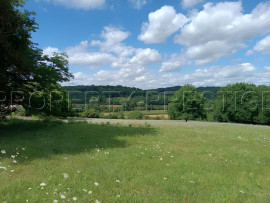 
                                                                                        Vente
                                                                                         DORDOGNE PROPRIETE XIIème 32 HA RIVIERE