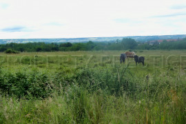 
                                                                                        Vente
                                                                                         DROME PROPRIETE AGRICOLE 15 HA