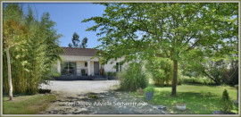 
                                                                                        Vente
                                                                                         Entre Issigeac et Mouleydier, belle contemporaine de plain pied, 4 chambres, piscine sur 3400 M2 de terrain