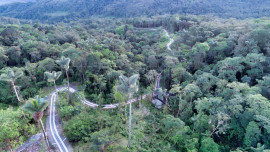 
                                                                                        Vente
                                                                                         EQUATEUR Propriété 400 m² 50 HA AMAZONIE