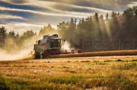 
                                                                                        Vente
                                                                                         EXPLOITATION AGRICOLE 245 HA