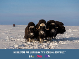 
                                                                        Vente
                                                                         Ferme Arctique