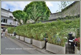 
                                                                                        Vente
                                                                                         Fonds de commerce bar brasserie avec superbe terrasse, coeur de ville, vente cause retraite