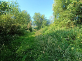 
                                                                                        Vente
                                                                                         Grand terrain à bâtir Amiens Saint Maurice