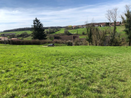 
                                                                                        Vente
                                                                                         Grand Terrain Constructible Viabilisé