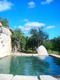 
                                                                                        Vente
                                                                                         HAUT VAR BASTIDE GITES PISCINE 3.2 HA