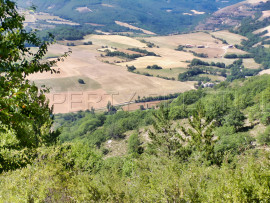 
                                                                                        Vente
                                                                                         HAUTE PROVENCE BERGERIE 8 HA Chambres d'hôtes