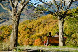 
                                                                                        Vente
                                                                                         HAUTE PROVENCE BERGERIE 8 HA Chambres d'hôtes