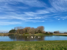 
                                                                                        Vente
                                                                                         HUTTE DE CHASSE OYE PLAGE