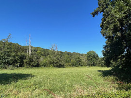 
                                                                                        Vente
                                                                                         Impensable - Un ancien moulin et ses îles en coeur de ville