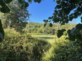 
                                                                                        Vente
                                                                                         Impensable - Un ancien moulin et ses îles en coeur de ville