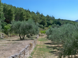 
                                                                                        Vente
                                                                                         LITTORAL VAROIS PROPRIETE DE STANDING OLIVERAIE VIGNE 8 HA