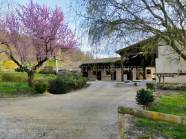 
                                                                                        Vente
                                                                                         LOT ET GARONNE CHATEAU XVème 8,5 HECTARES