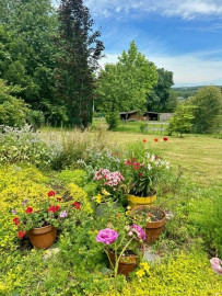 
                                                                                        Vente
                                                                                         Magnifique Longère Proche de La Gacilly avec 6 chambres.