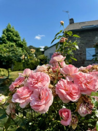 
                                                                                        Vente
                                                                                         Magnifique Longère Proche de La Gacilly avec 6 chambres.