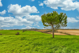 
                                                                                        Vente
                                                                                         Maison 6 pièces, corps de ferme lauragaise