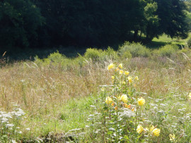 
                                                                                        Vente
                                                                                         Maison à rénover avec jardin 611 m2