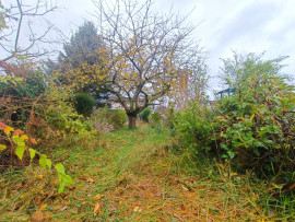 
                                                                                        Vente
                                                                                         Maison Amiens St Pierre 2 chambres jardin.