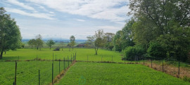 
                                                                                        Vente
                                                                                         MAISON JUMELEE AVEC PLUS DE 7500 M2 DE TERRAIN, BELLE OPPORTUNITE