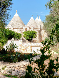 
                                                                                        Location de vacances
                                                                                         Masseria delle Arti