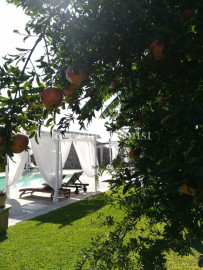 
                                                                                        Location de vacances
                                                                                         Masseria Domitille